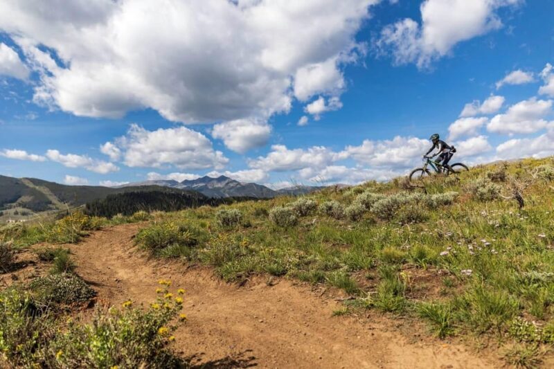 Silverthorne: Mountain Bike Ride Salt Lick Trails - A Closer Look at the Salt Lick Trails Experience