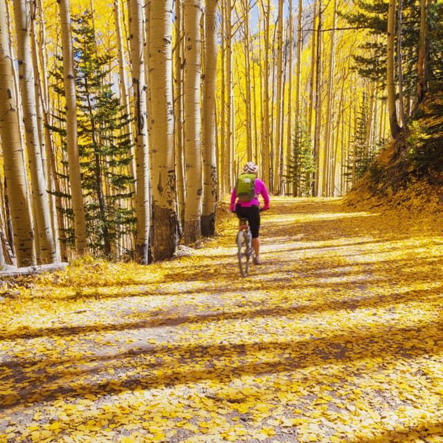 Silverthorne: Mountain Bike Ride Salt Lick Trails - Who Should Consider This Tour?