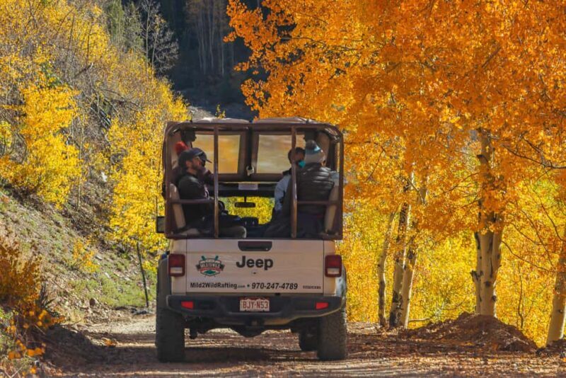 Silverton Half Day Jeep Tour - Who Should Take This Tour?