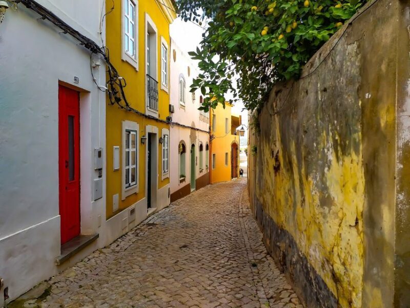 Silves, Caldas and Monchique Wine Tasting: Full Day Tour - A Detailed Look at the Silves, Caldas, and Monchique Tour