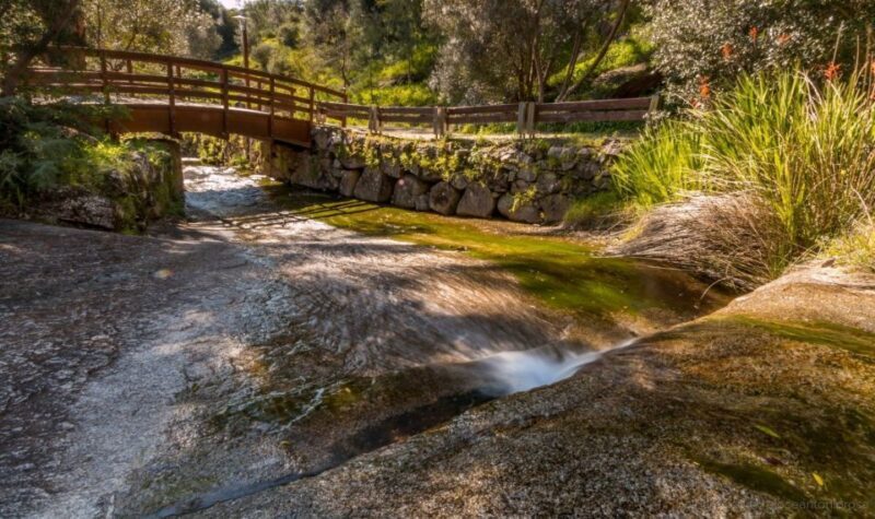 Silves, Caldas and Monchique Wine Tasting: Full Day Tour - FAQs