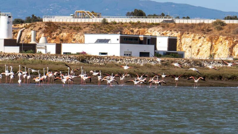 Silves History - Nature Boat Tour - free drink and Port wine - FAQs