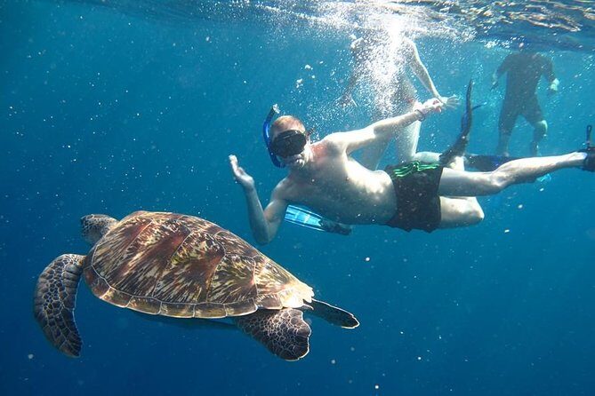 Similan Islands Day Trip by Speedboat From Phuket - Key Points