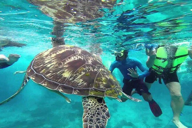 Similan Islands Full-Day Tour from Phuket with Lunch (SHA Plus) - Final Thoughts: Who Is This Tour For?