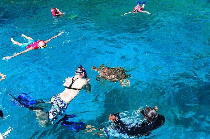 Similan Islands One Day Tour From Khao Lak - Who Is This Tour Best For?