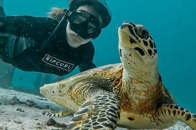 Similan Islands Private Tour - Exploring the Itinerary in Depth