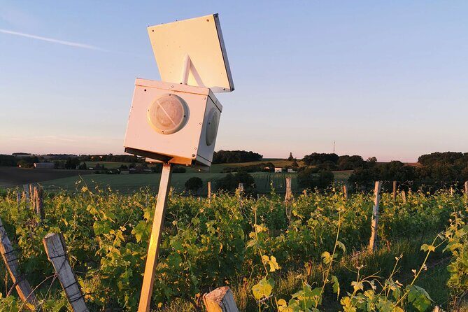 Simple Visit to Discover the Domaine d'Arton - A Deeper Look at the Domaine dArton Tour