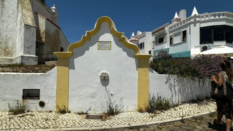 Sines and Porto Covo: discover Costa Vicentina with a local - Key Points