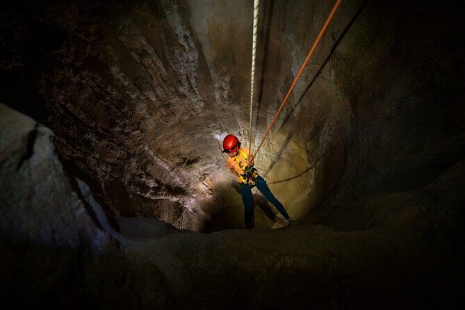 Singapore 3 Park Explorer Pass: Zoo, River Wonders, Bird Paradise - Key Points