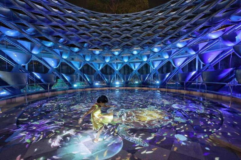 Singapore After Dark:Small Group Sentosa Tour with Cable Car - An In-Depth Look at the Experience