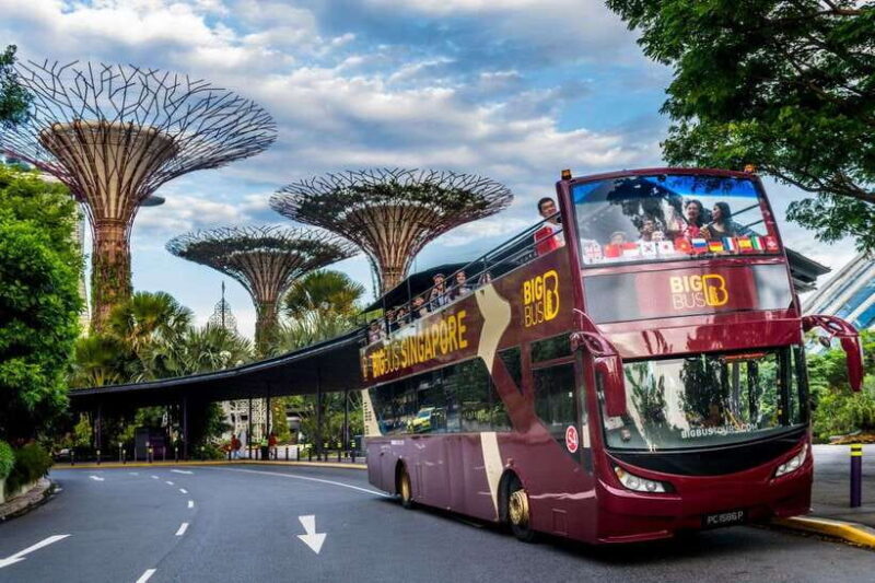 Singapore: Big Bus Hop-On Hop-Off Tour by Open-Top Bus - The Sum Up