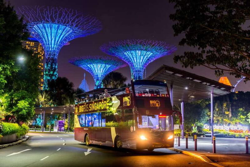 Singapore: Big Bus Night Tour by Open-Top Bus & Live Guide - Key Points