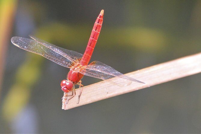 Singapore - bike adventure beyond the concrete jungle - Practical Details