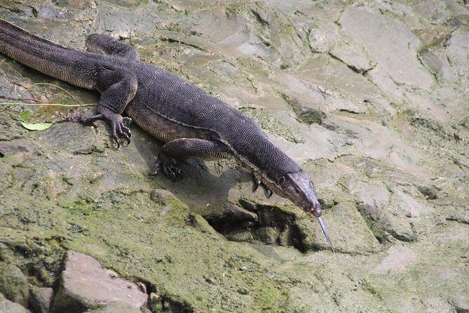 Singapore - bike adventure beyond the concrete jungle - The Sum Up