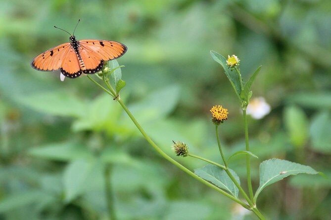 Singapore - bike adventure beyond the concrete jungle - Frequently Asked Questions