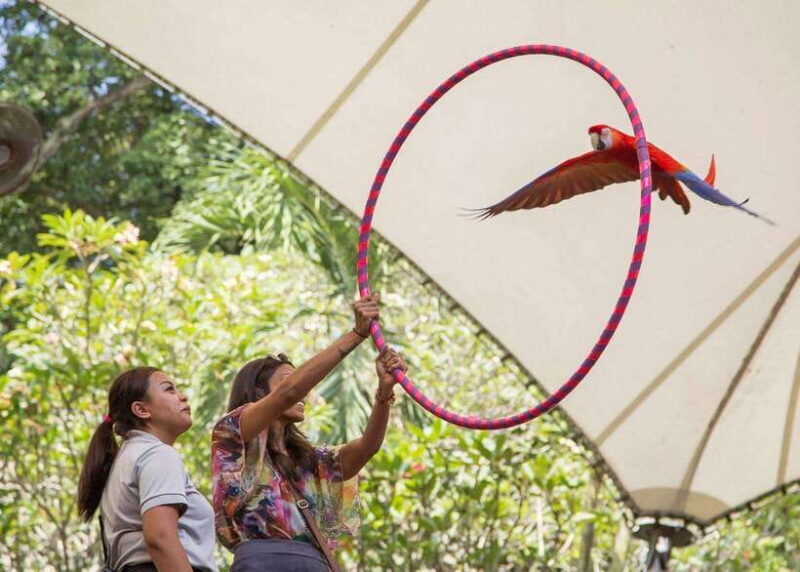 Singapore: Bird Paradise Entry Ticket - Discovering the Birds of Singapore’s Bird Paradise