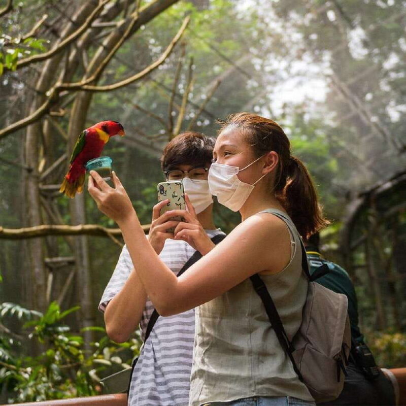 Singapore: Bird Paradise Entry Ticket - Authentic Experiences from Fellow Visitors