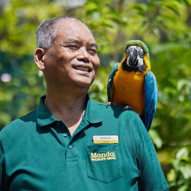 Singapore: Bird Paradise Entry Ticket - Final Thoughts: Is It Worth Visiting?