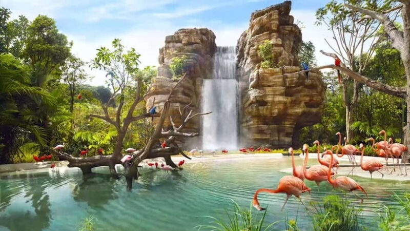 Singapore: Bird Paradise - Key Points