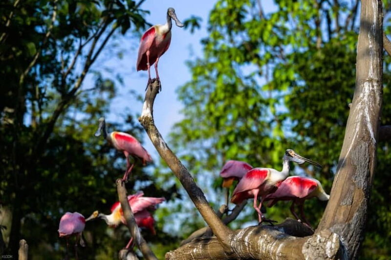 Singapore: Bird Paradise - Final Thoughts: Who Should Visit Bird Paradise?