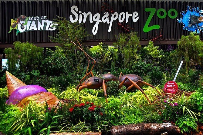 Singapore Bird Paradise & Zoo Full Day (Ticket & Transfer ) - Authentic Traveler Insights