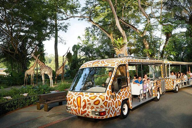 Singapore Bird Paradise & Zoo Full Day (Ticket & Transfer ) - Who Should Consider This Tour?