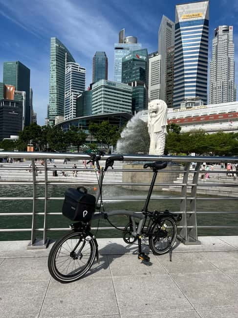 Singapore Brompton Bike Tour from Rail Corridor, with food! - Key Points