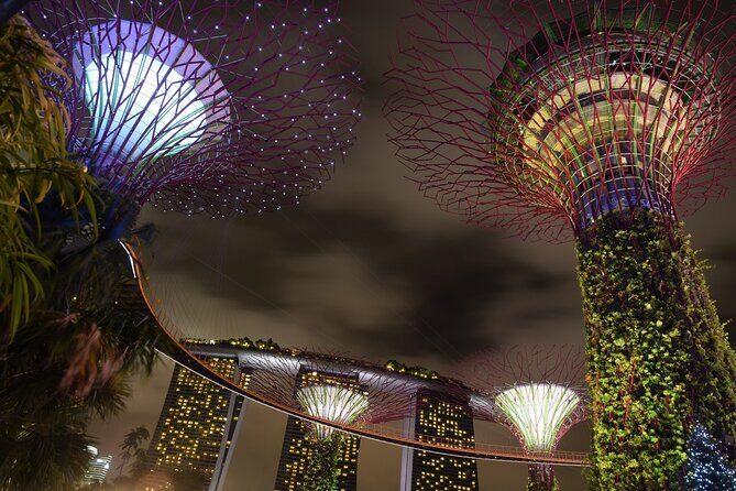 Singapore by Night Top Senic Sightseeing Private Tour - Authentic Traveler Insights
