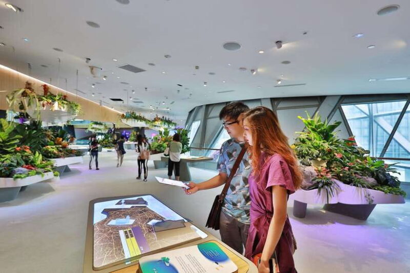 Singapore: Changi Experience Studio Ticket at Changi Airport - Who Will Love This Experience?