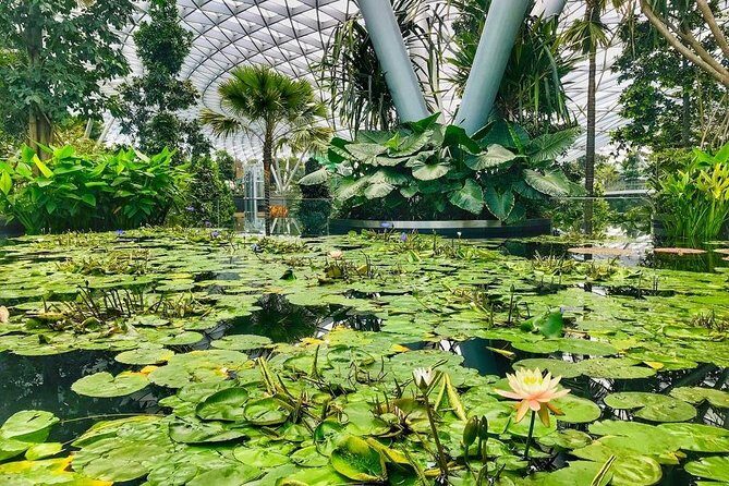 Singapore Changi Jewel Highlights Walking Tour - Key Points