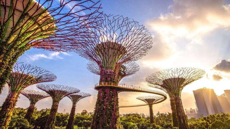 Singapore: City Tour & Jurassic World at Gardens by the Bay - Key Points