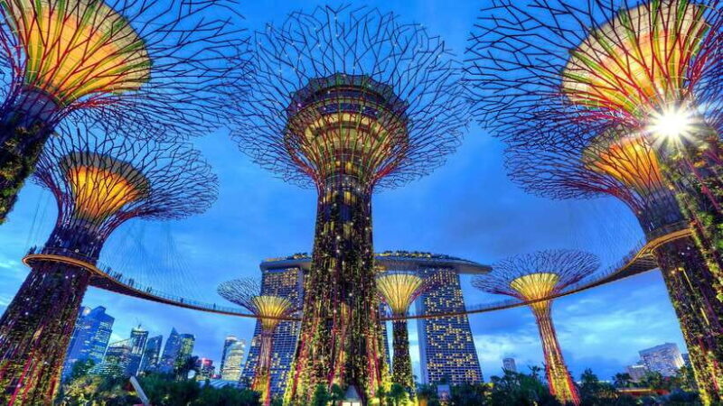 Singapore: Day Tour for Sentosa, Gardens by the Bay, Flyer - Who Will Love This Tour?