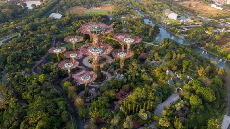 Singapore: Day Tour for Sentosa, Gardens by the Bay, Flyer - The Sum Up: Why This Tour Could Be Your Best Choice