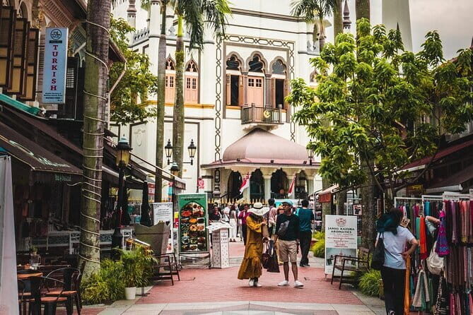 Singapore Flagship Cultural City Tour - Who Will Love This Tour?
