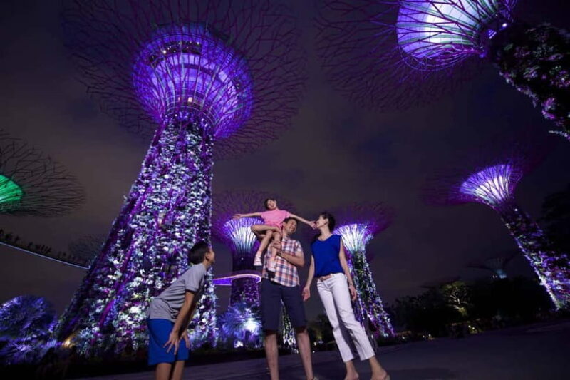 Singapore: Gardens by the Bay Accessible Guided Tour - Key Points