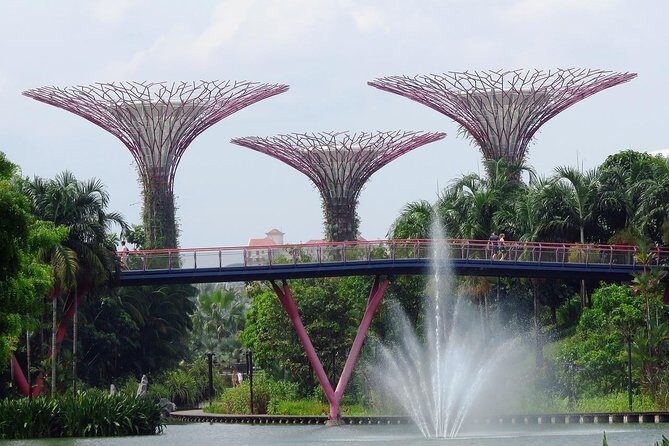 Singapore: Gardens by the Bay Admission E-Ticket - Key Points