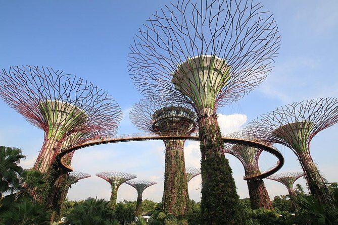 Singapore: Gardens by the Bay Admission E-Ticket - The Sum Up: Is This Tour Right for You?
