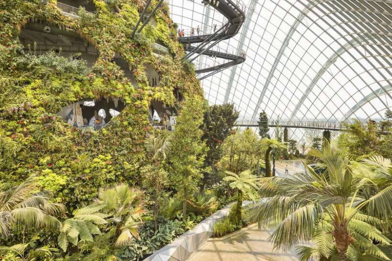 Singapore: Gardens by the Bay Admission E-Ticket - Introduction to Gardens by the Bay