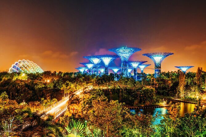 Singapore Gardens by the Bay Admission Skip-The-Line E-Ticket - A Deep Dive into the Gardens by the Bay Experience