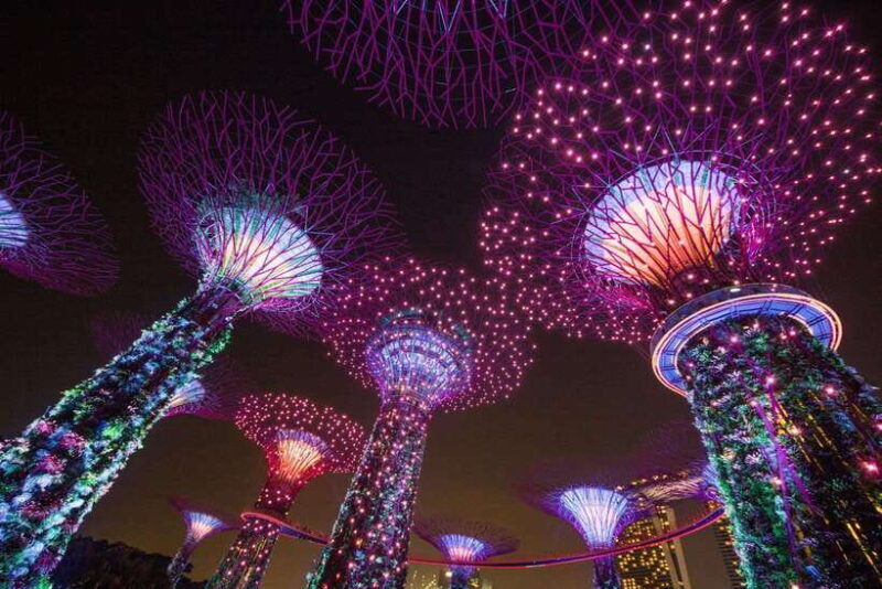 Singapore: Gardens by the Bay Bundle Entry Ticket - Key Points
