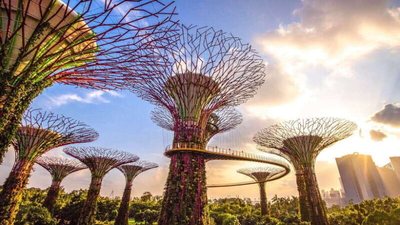 Singapore: Gardens by the Bay Bundle Entry Ticket - The Itinerary Breakdown: What You Can Expect