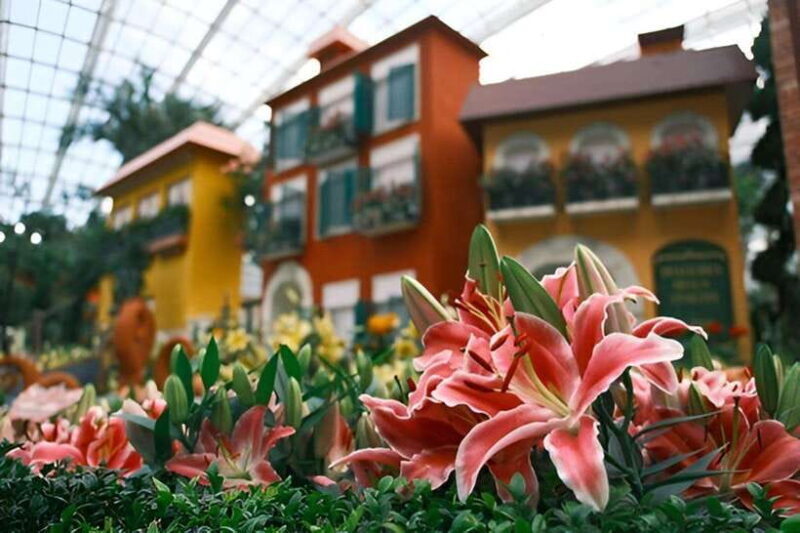 Singapore: Gardens by the Bay Bundle Entry Ticket - Practical Tips and Considerations