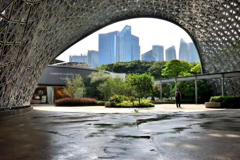 Singapore: Gardens by the Bay Guided Tour/Photography - An In-Depth Review of the Gardens by the Bay Guided Tour/Photography Experience