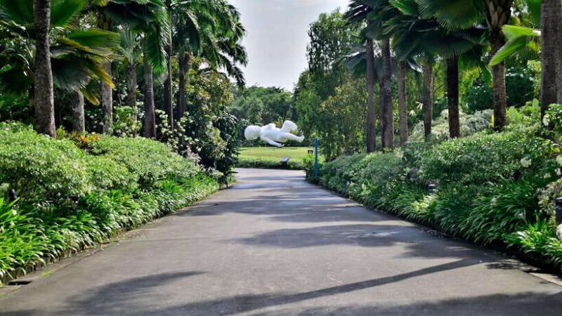 Singapore: Gardens by the Bay Guided Tour/Photography - Who Should Consider This Tour?