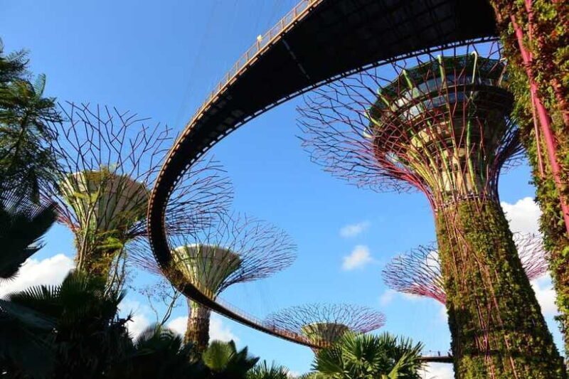 Singapore: Gardens by the Bay Guided Tour/Photography - Final Thoughts
