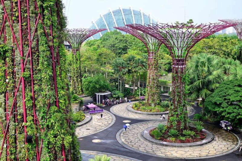 Singapore: Gardens by the Bay Guided Tour/Photography - FAQs