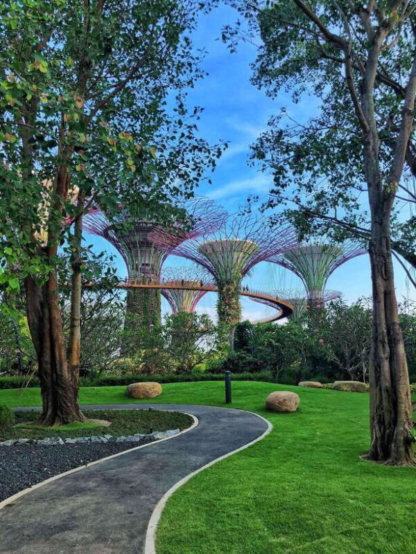 Singapore: Gardens by the Bay Guided Tour - Key Points