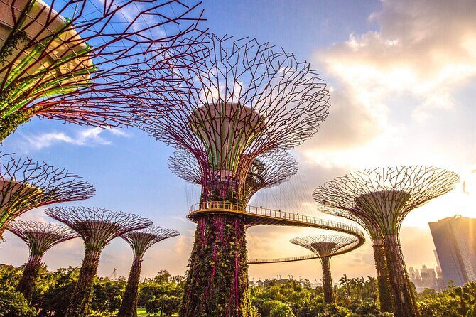 Singapore Half Day City Tour w Skypark and Gardens By The Bay - Key Points