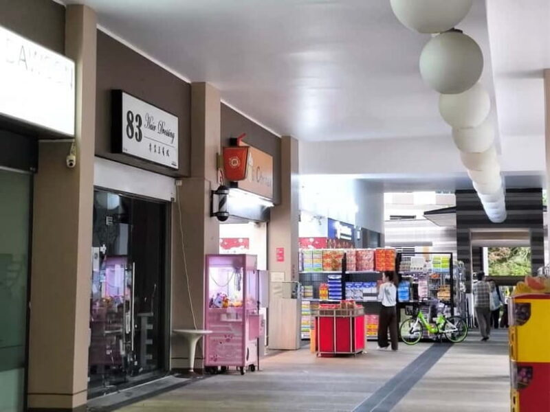 Singapore: HDB Public Housing & Communities Guided Tour - Key Points