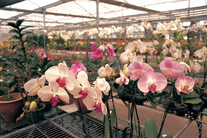 Singapore Morning City Tour - The Sum Up: Is This Tour Worth It?